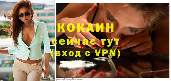 спиды Зеленокумск
