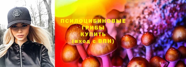 эйфоретик Инта