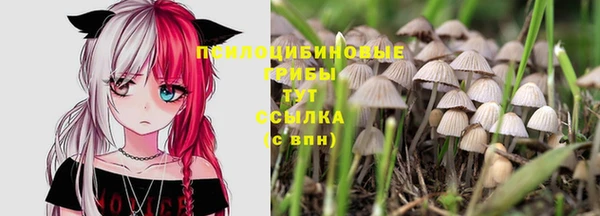 винт Зеленодольск