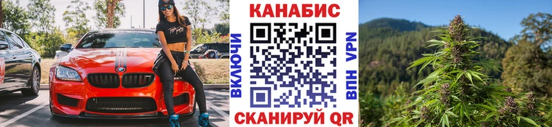 Купить закладки  Рязань  Канабис план 